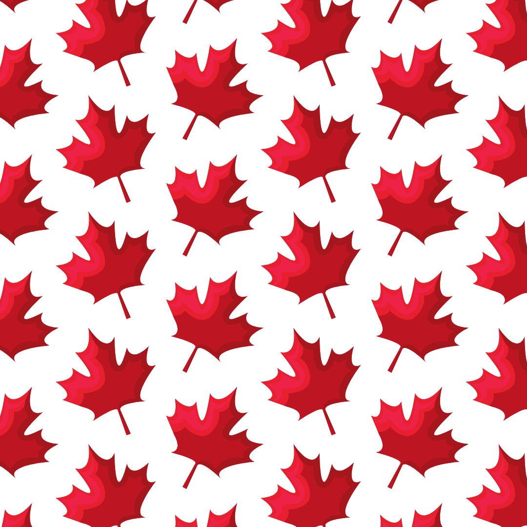 Canada White Paddle Skin